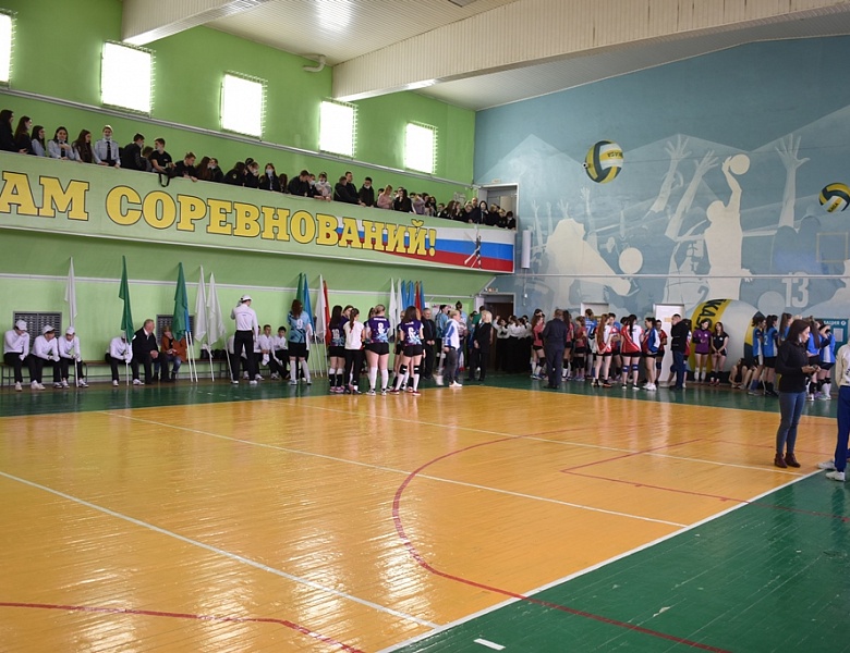 Финальные соревнования по волейболу (девушки) с 04 по 08 апреля 2022 года